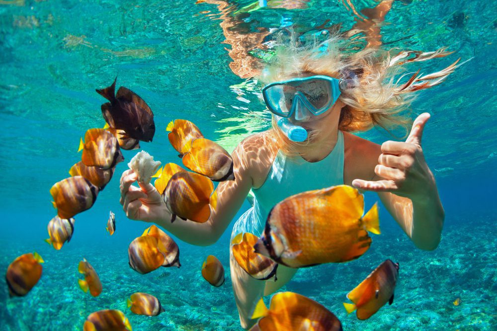 Snorkeling Staniel Cay