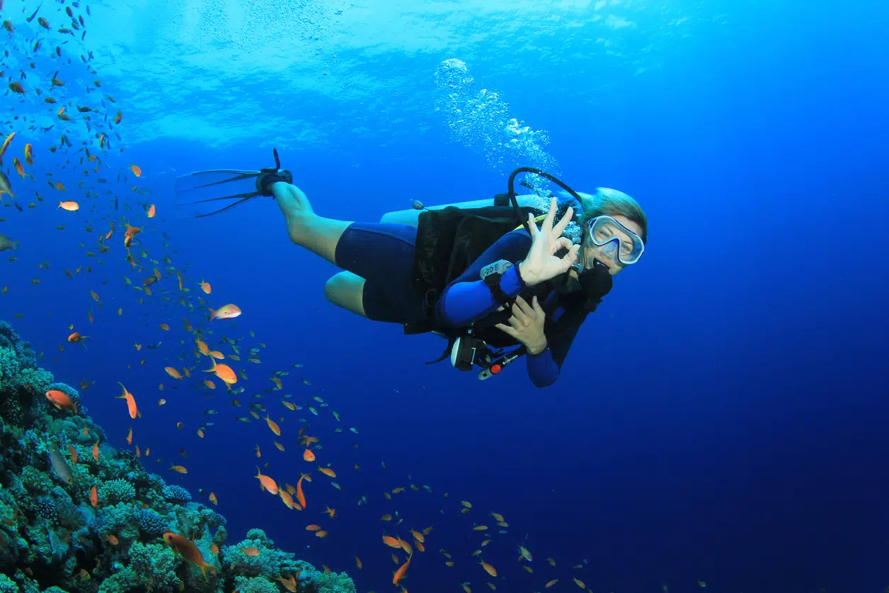 Staniel Cay Scuba Diving