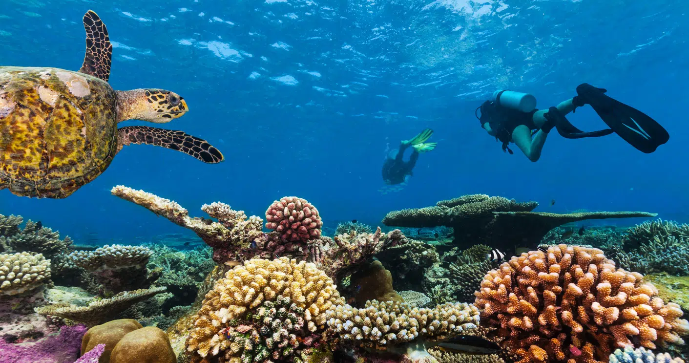 Staniel Cay Scuba Diving