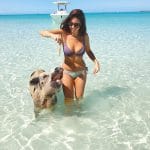 Swimming Pigs Staniel Cay
