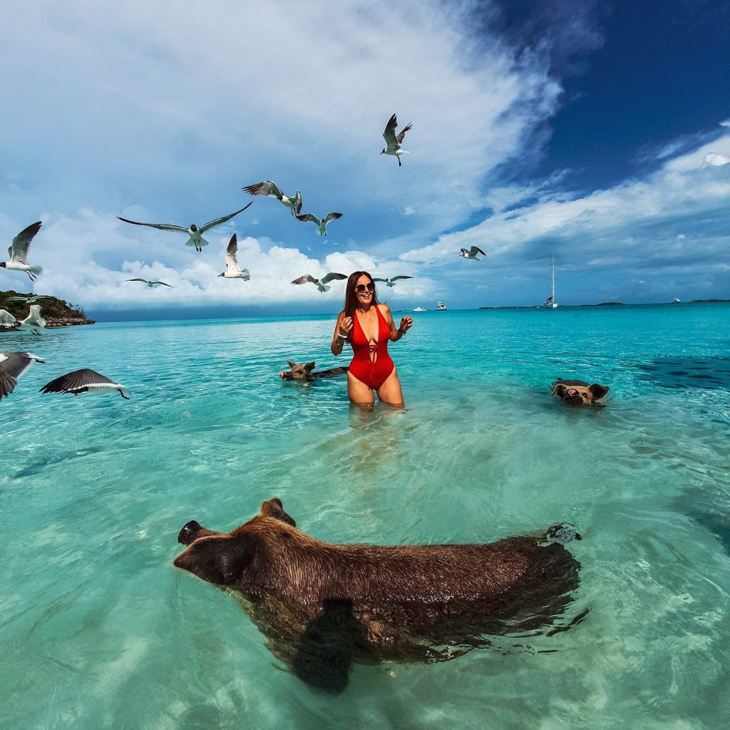 A woman in a red bikini standing in the water with seagulls and pigs at Staniel Cay.