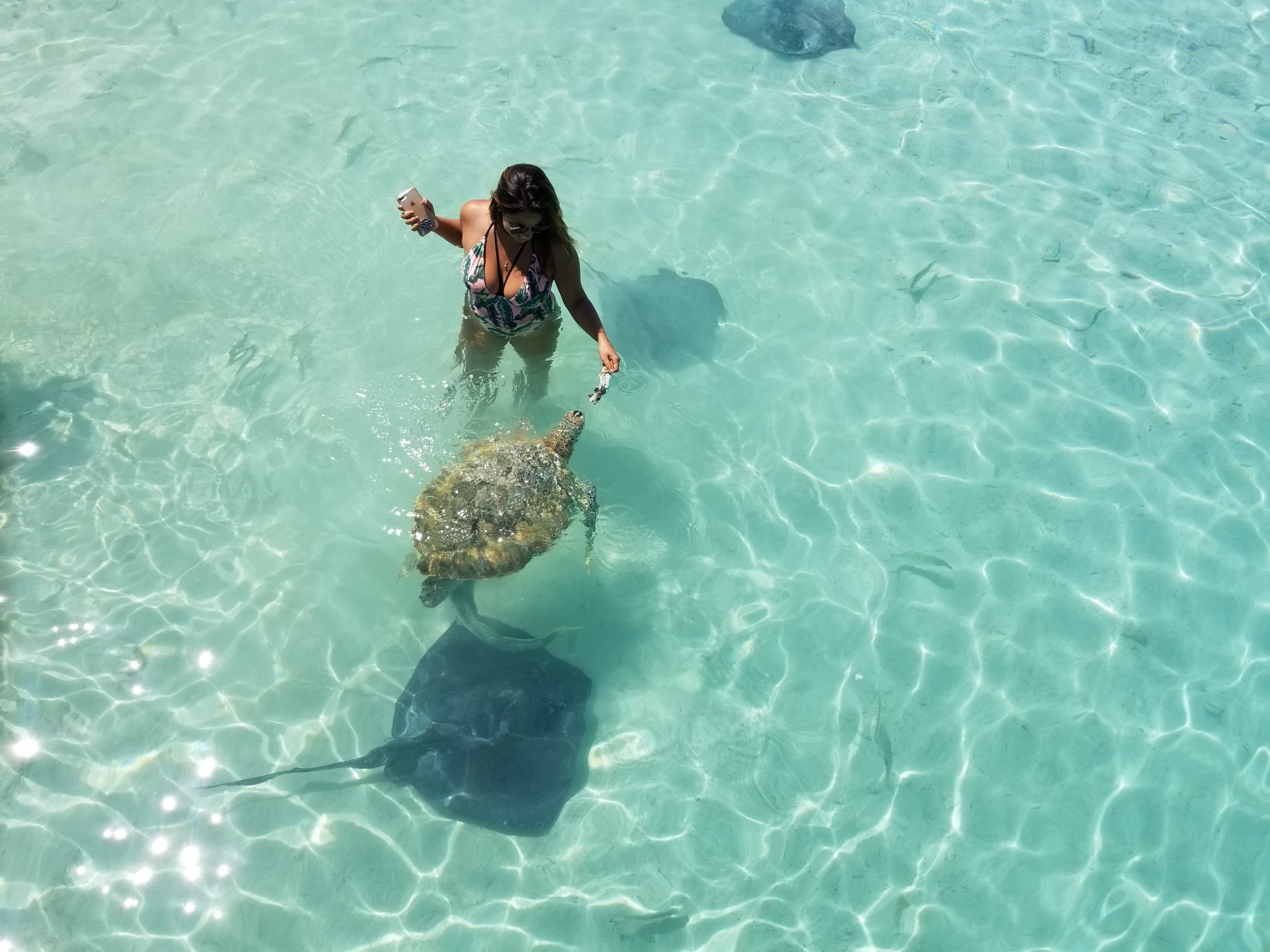 A woman is standing next to a sting ray in the crystal-clear water at Staniel Cay.