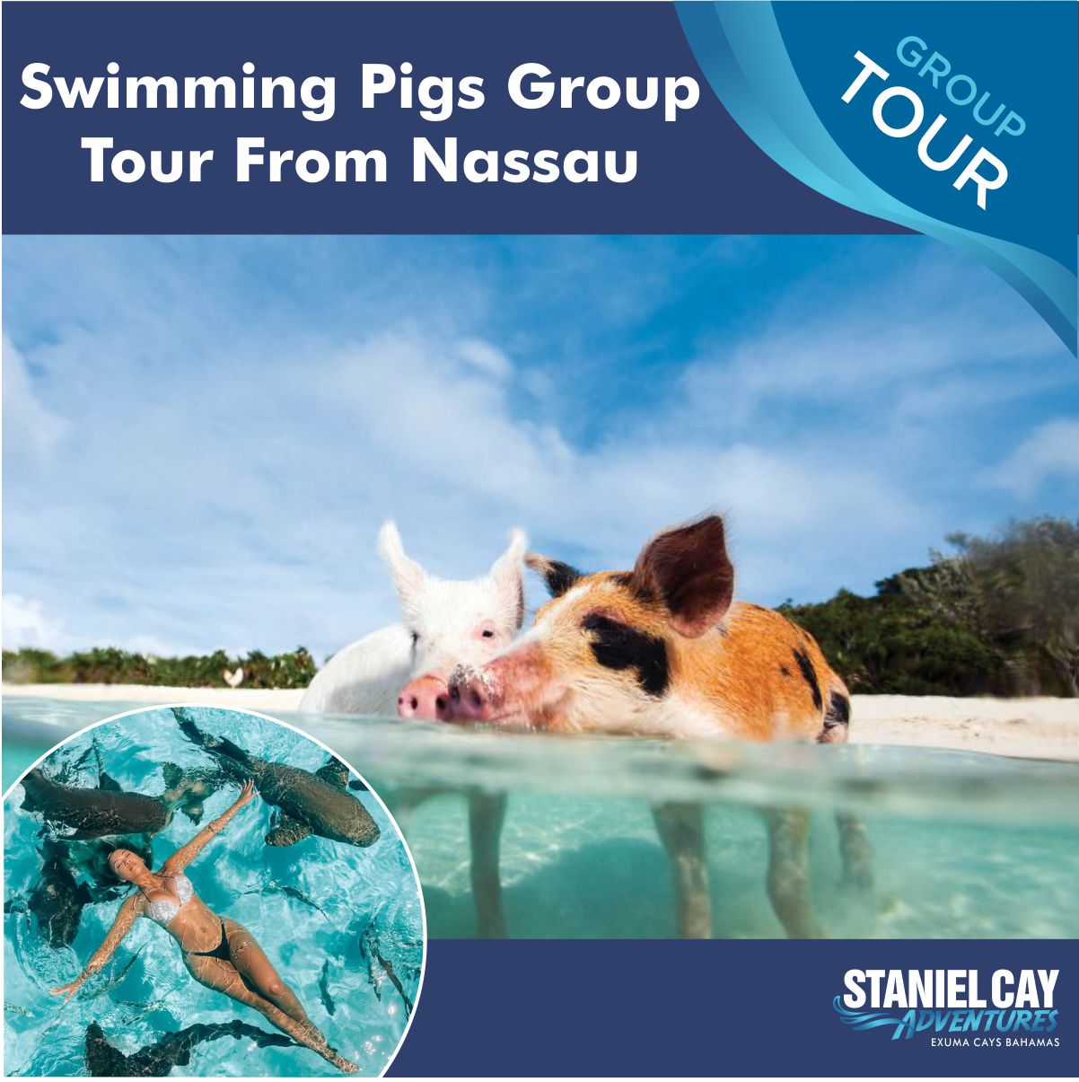 Swimmiing Pigs Tour from Nassua