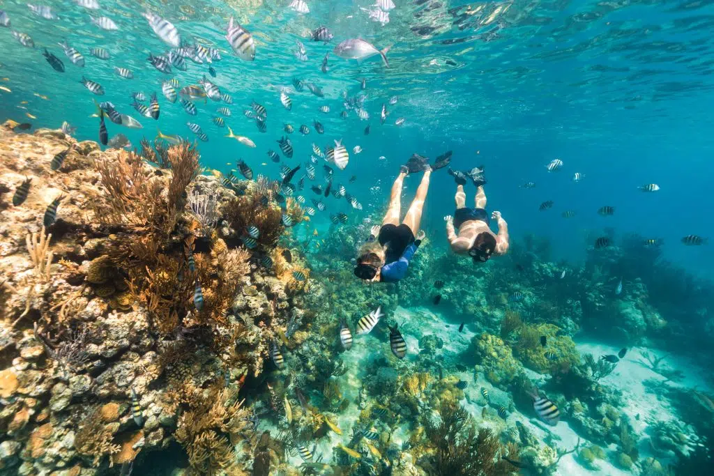 Snorkeling Staniel Cay Exumas