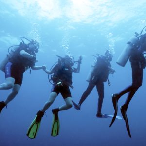 scuba diving Staniel Cay