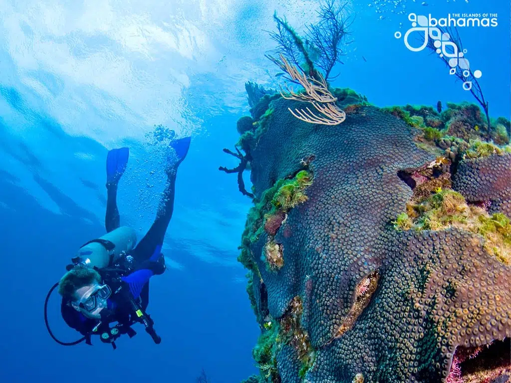 Scuba Diving Exuma