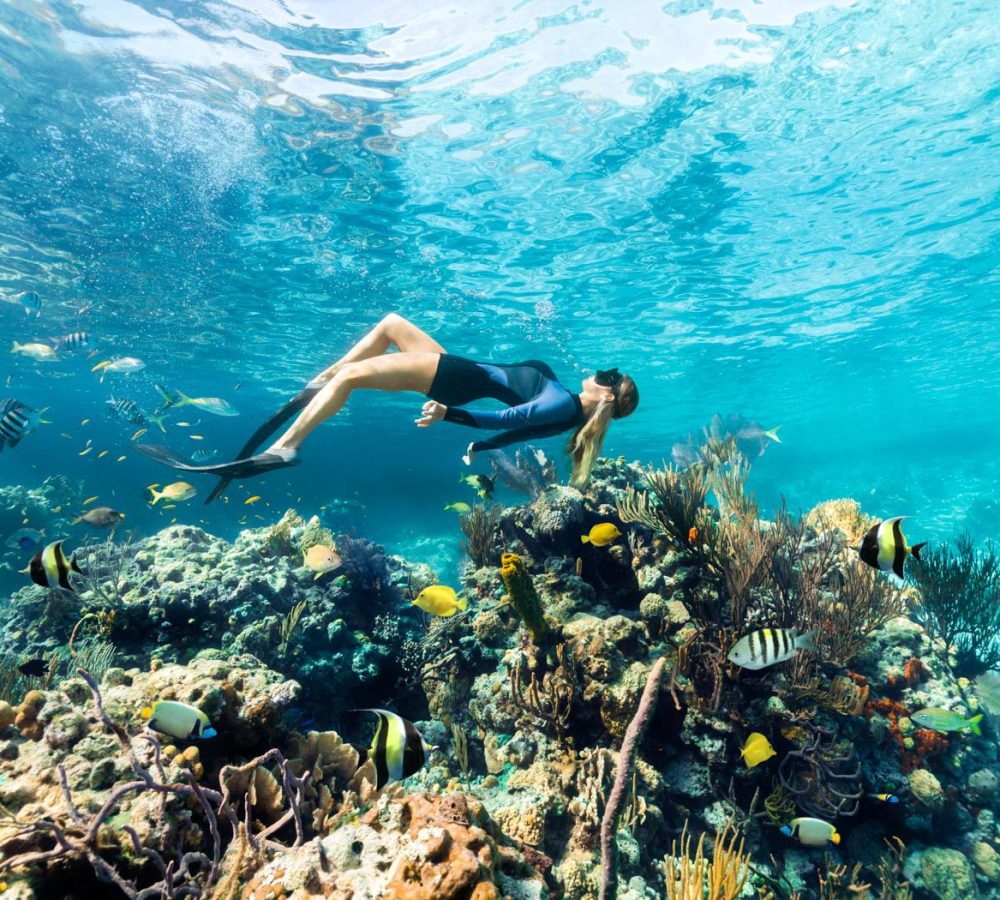 A woman is snorkeling on a coral reef in Staniel Cay, Caribbean.