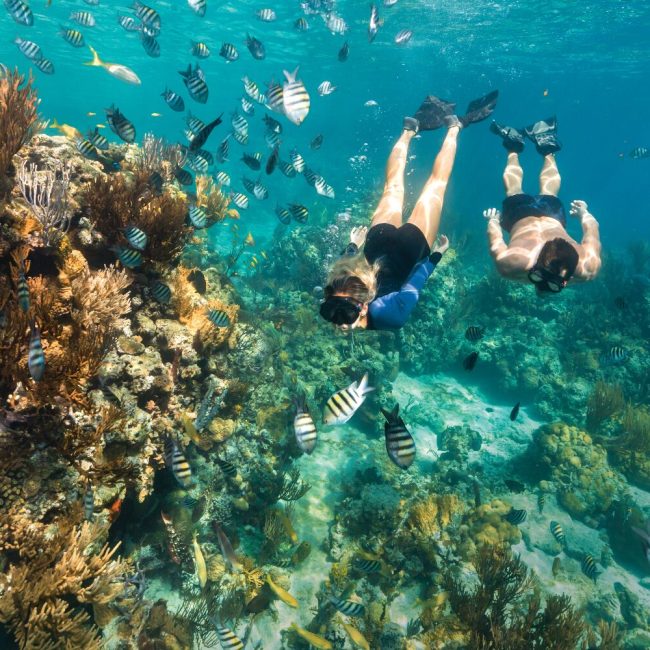 Two people snork in the ocean near coral reefs during their Staniel Cay Bahamas adventure.