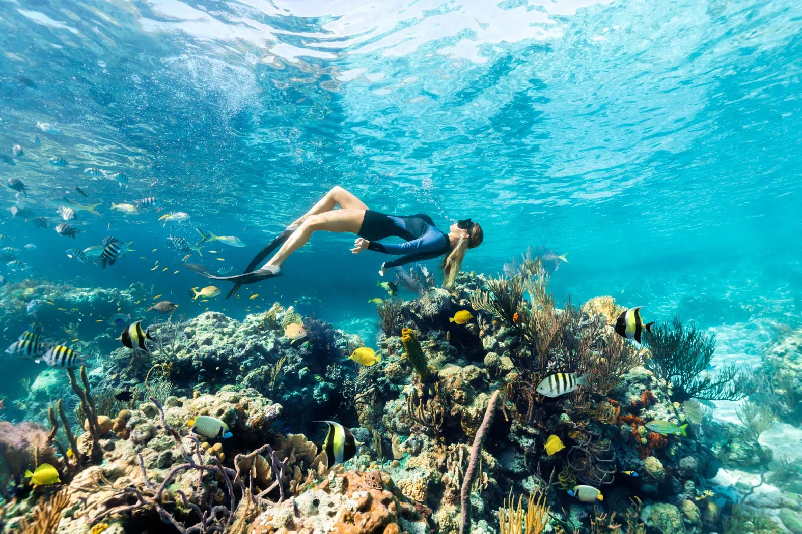 Staniel Cay Snorkeling