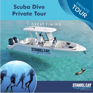 A poster for a private scuba dive tour in the Exuma Cays, Bahamas.