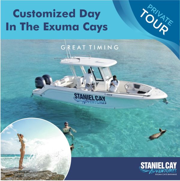 Custom day tour in the Exuma Cays featuring the unique experience of swimming with pigs and exploring Staniel Cay.