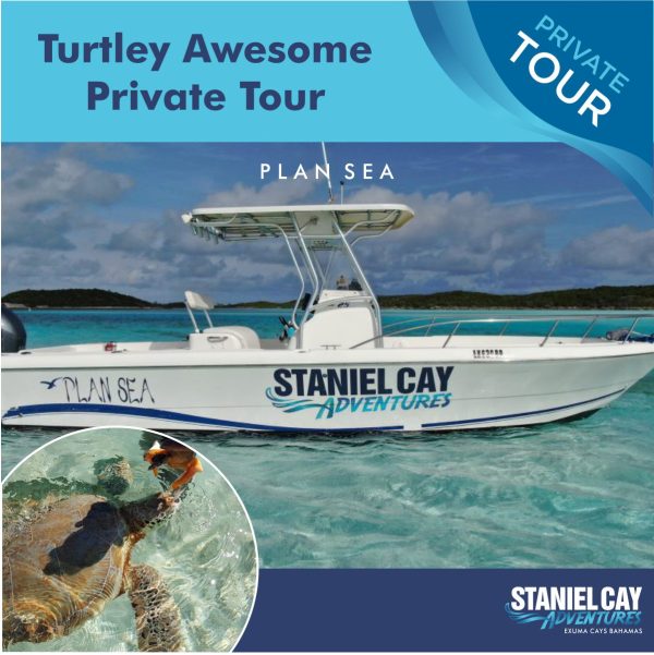 Dive into an Exuma adventure with our turtley awesome private tour, where you'll embark on unforgettable scuba diving experiences in the breathtaking Exuma Cays. Explore the hidden wonders of