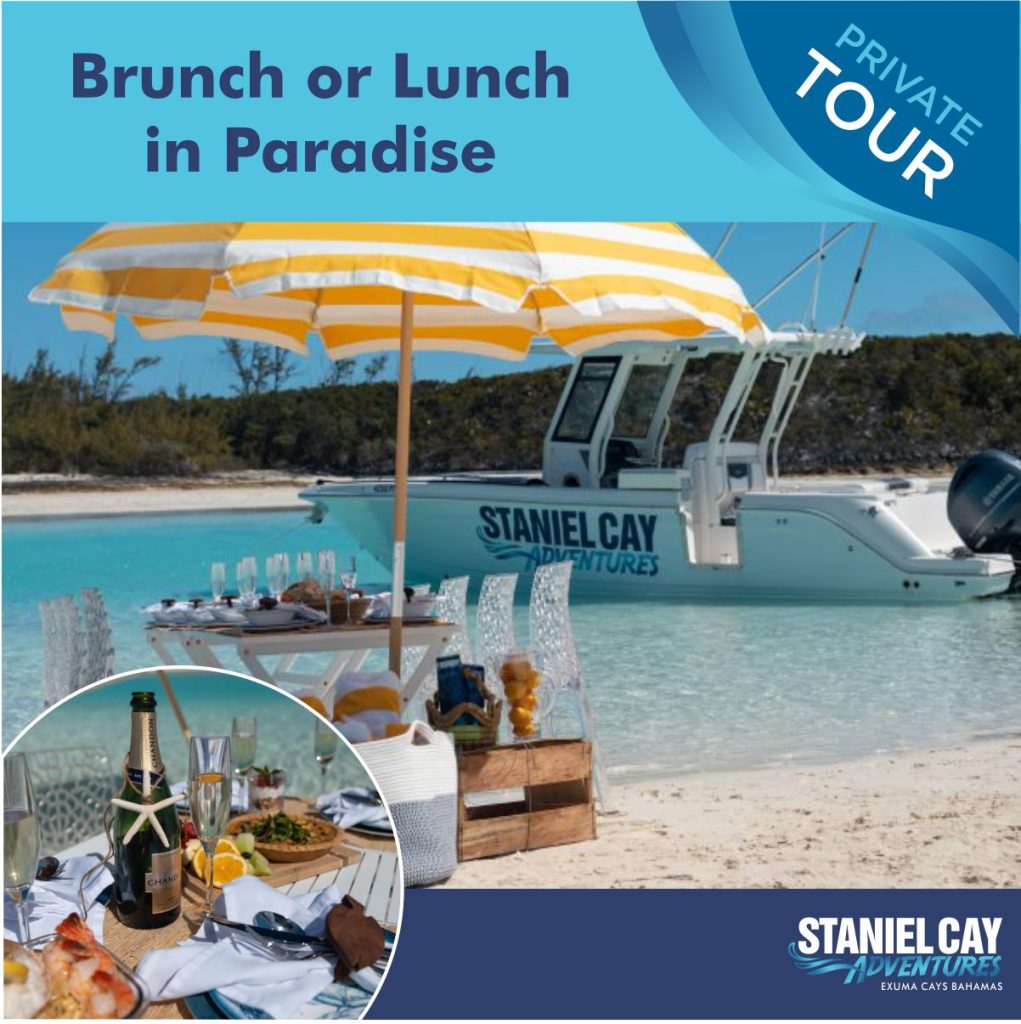 Embark on a breathtaking Staniel Cay Adventures tour, where you can enjoy a delightful brunch or lunch while exploring the paradise of Exuma. Dive into unforgettable experiences such as the Swimming Pigs