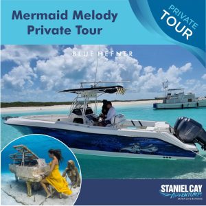 Embark on a mesmerizing private tour through the breathtaking Staniel Cay Adventures in the Exuma Cays Bahamas. Dive into an enchanting world as you explore hidden gems and encounter fascinating marine creatures on