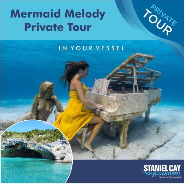 Embark on a private Mermaid Melody adventure in your vessel, taking you on a mesmerizing journey through Scuba Divng Exuma and Staniel Cay Adventures. Experience the thrill of