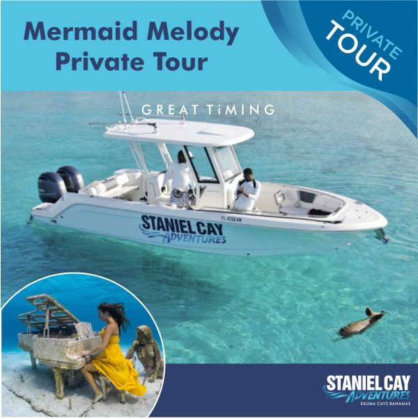 Embark on a private Mermaid Melody tour through the stunning Exuma Cays in the Bahamas. Immerse yourself in the crystal-clear turquoise waters and explore breathtaking underwater landscapes with a