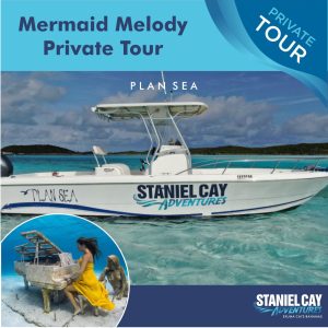Embark on a private tour exploring the enchanting Mermaid Melody in the Exuma Cays of the Bahamas. With Staniel Cay Adventures, experience unforgettable moments as you dive into the
