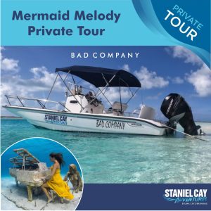 Embark on a private tour of the enchanting Mermaid Melody. Dive into crystal clear waters and explore breathtaking coral reefs with our exclusive Scuba Diving Exuma experience. Get up