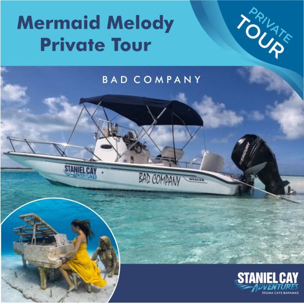 Embark on a private tour of the enchanting Mermaid Melody. Dive into crystal clear waters and explore breathtaking coral reefs with our exclusive Scuba Diving Exuma experience. Get up