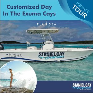 Embark on a tailor-made day tour exploring the stunning Exuma Cays in the Bahamas. Swim with adorable swimming pigs and embark on thrilling Staniel Cay adventures, creating unforgettable memories in this