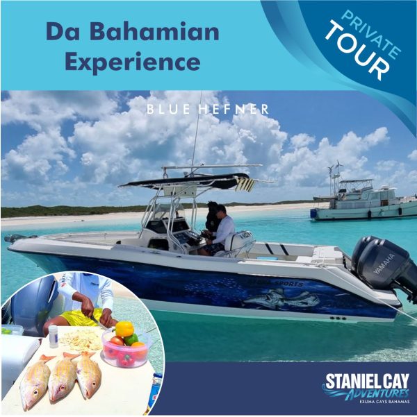 Embark on an unforgettable Da Bahamaan experience as you explore the stunning Exuma Cays in the Bahamas. Take part in thrilling Staniel Cay Adventures, where you can swim with pigs