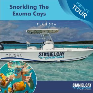 Embark on an unforgettable swimming pigs tour through the breathtaking Exuma Cays in the Bahamas, with Staniel Cay Adventures. Experience the thrill of snorkeling in crystal clear waters surrounded by vibrant