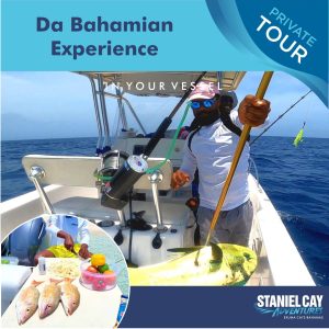 Enjoy the ultimate Staniel Cay Adventures with Exuma Cays Bahamas on a Swimming Pigs Tour flyer, offering the unforgettable da Bahamaan experience.