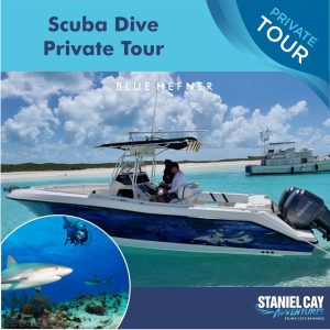 Experience an unforgettable scuba dive private tour in the Bahamas, specifically in the Exuma Cays. Immerse yourself in the breathtaking beauty of Staniel Cay Adventures as you explore vibrant coral reefs and