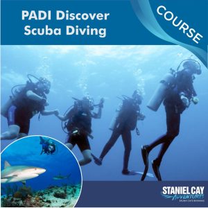 Experience the thrill of scuba diving with the Padi discover course, offered by Staniel Cay Adventures. Dive into the crystal clear waters and explore the vibrant underwater world of Exuma on this