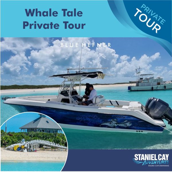 Experience the ultimate adventure with our private tour that takes you on a thrilling whale tale journey. Explore the stunning Exuma Cays in the Bahamas while diving into the crystal-clear waters of Scuba Divng