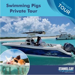 Experience the ultimate swimming pigs private tour in the Exuma Cays, Bahamas. Dive into the crystal-clear waters and get up close with these incredible creatures on a scuba diving adventure like no other.