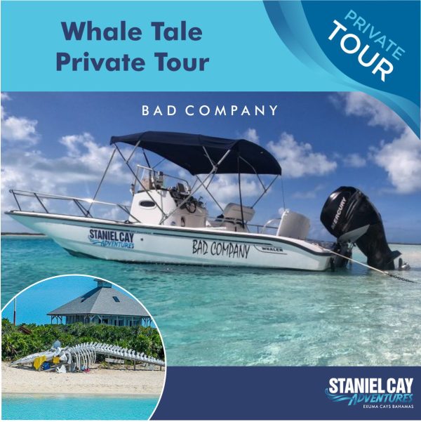 Experience the wonders of the Exuma Cays in the Bahamas with our exclusive Whale Tale Private Tour. Avoid the disappointment of bad company and embark on a breathtaking adventure through crystal-clear waters. Dive into the