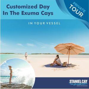 Immerse yourself in a personalized day of adventure and relaxation in the Exuma Cays, Bahamas. Embark on a thrilling Private Tour: Customized Day In the Exuma Cays Your Vessel, where you'll encounter these fascinating creatures