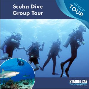 Join our Scuba Dive Group Tour for an unforgettable underwater adventure in the Exuma Islands. Dive into the crystal-clear waters of Staniel Cay and explore vibrant coral reefs teeming with marine life