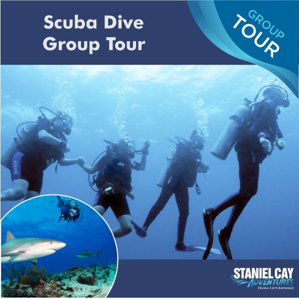 Join our Scuba Dive Group Tour for an unforgettable underwater adventure in the Exuma Islands. Dive into the crystal-clear waters of Staniel Cay and explore vibrant coral reefs teeming with marine life