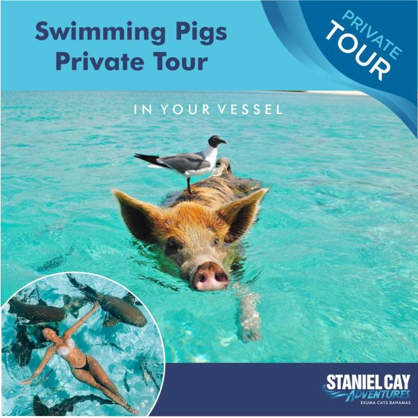 Join us on an unforgettable private tour to the Exuma Cays in the Bahamas. Experience the thrill of scuba diving in Exuma while also getting up close and personal with our famous swimming pigs.