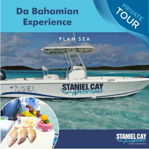 Plan a sea tour to experience the Staniel Cay Adventures and include the Swimming Pigs Tour.