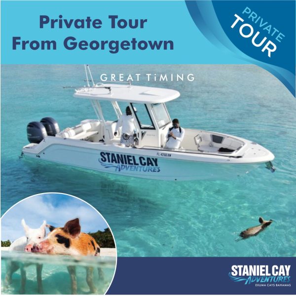 Private tour from Georgetown, Bahamas. Explore the stunning Exuma Cays with our exclusive swimming pigs tour. Dive into the crystal clear waters for an unforgettable scuba diving experience in Exuma.
