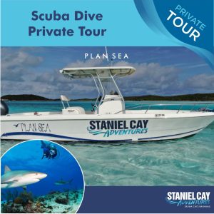 Scuba Dive Private Plan Sea featuring Exuma Cays Bahamas.