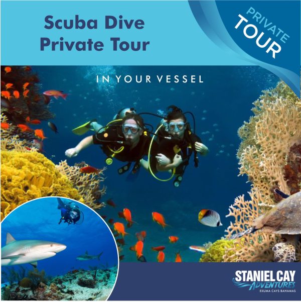 Scuba dive private tour in Staniel Cay Adventures vessel.