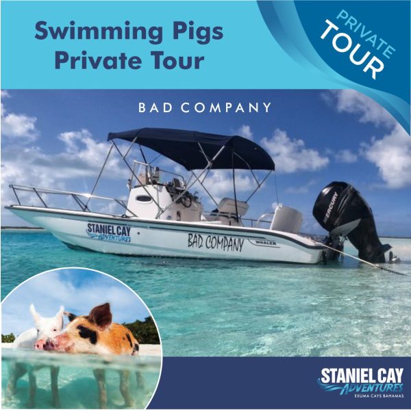 Swimming pigs private tour in the Exuma Cays Bahamas.