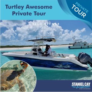 Turtley awesome Staniel Cay Adventures.