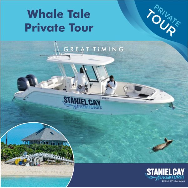 Whale tale private tour in the Exuma Cays Bahamas.