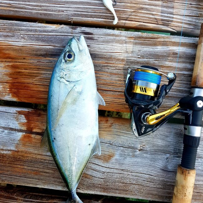 A fishing rod and a fish on a wooden deck, perfect for those looking for Staniel Cay Adventures.