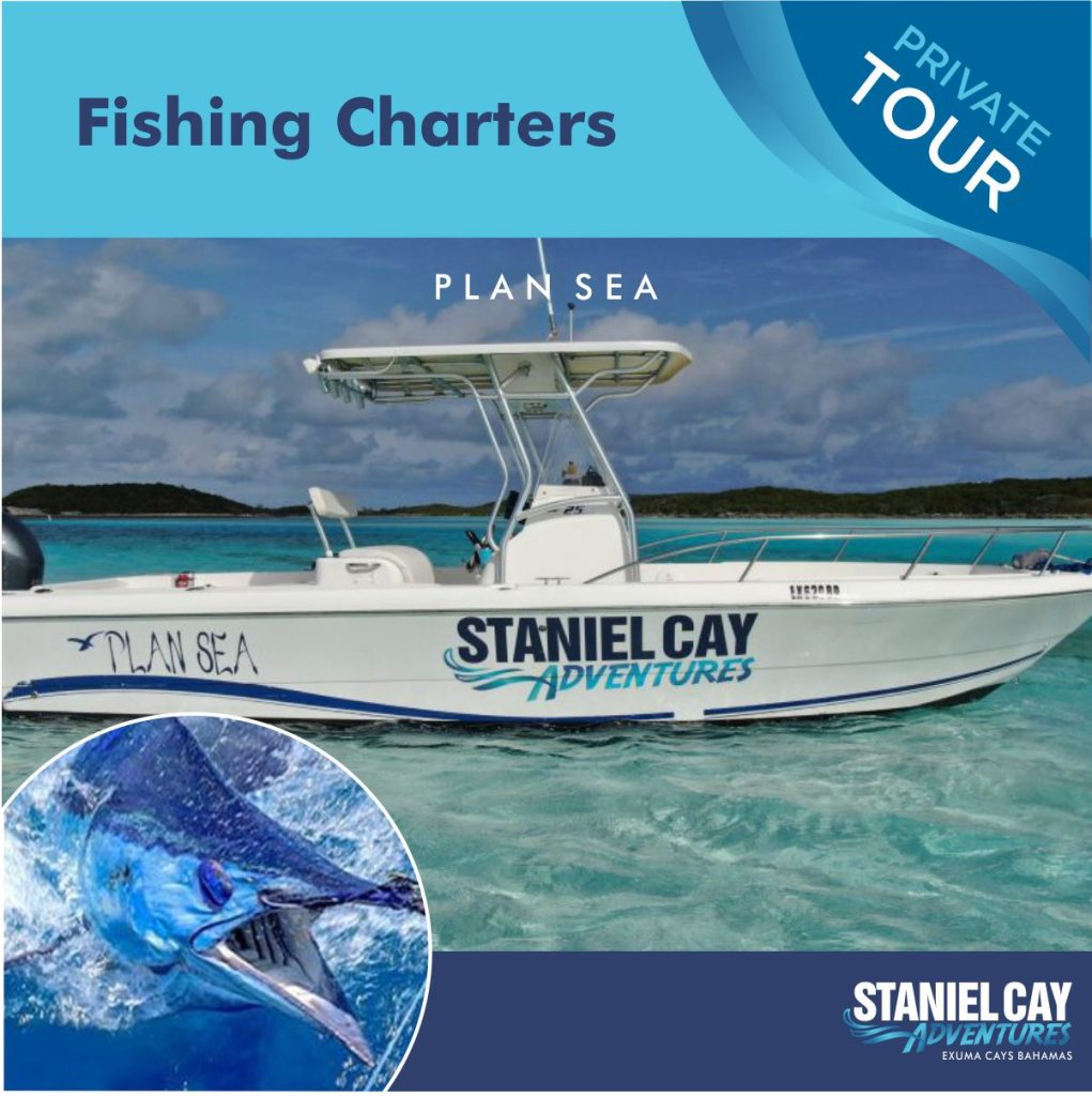 Are you ready for an unforgettable adventure in the Exuma Cays, Bahamas? Look no further than Fishing Charter Miss Tress! Our charters offer a unique and thrilling experience, exploring the stunning landscapes.