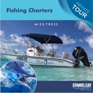 Experience the ultimate fishing adventure with Fishing Charter Miss Tres in the beautiful Exuma Cays, Bahamas. Embark on a memorable tour, filled with thrilling scuba diving expeditions and.