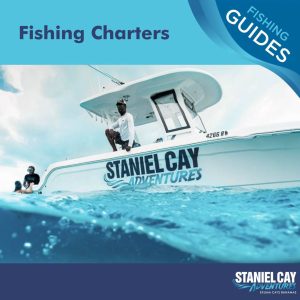 Stanley offers Fishing Charters In Your Vessel with Gear with opportunities for Scuba Diving in Exuma and Staniel Cay Adventures.