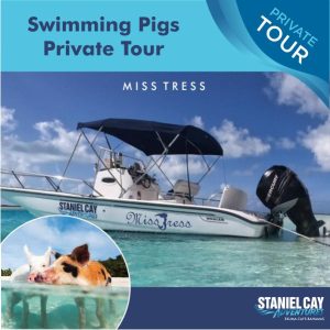 Experience a one-of-a-kind private tour of the Exuma Cays in the Bahamas, where you can indulge in scuba diving and witness the world-renowned Private Tour: Swimming Pigs Miss Tress.