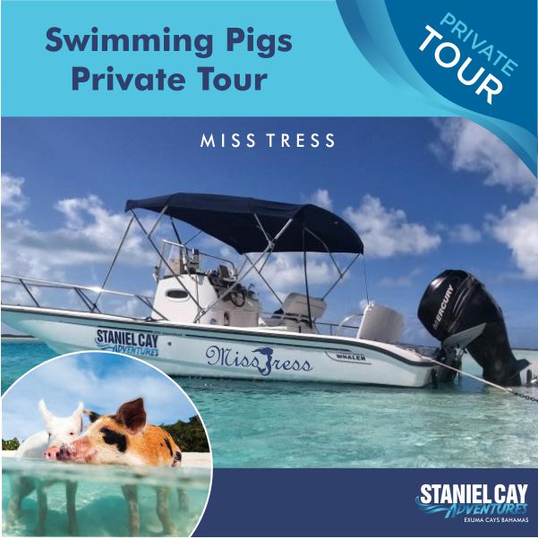 Experience a one-of-a-kind private tour of the Exuma Cays in the Bahamas, where you can indulge in scuba diving and witness the world-renowned Private Tour: Swimming Pigs Miss Tress.