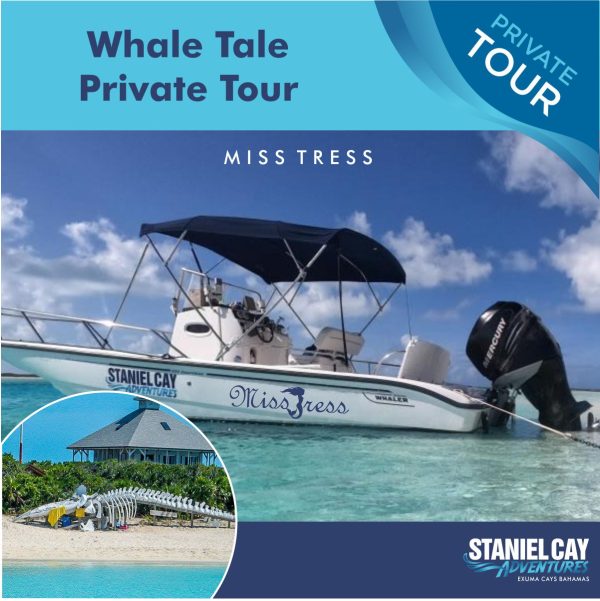 Explore the stunning Exuma Cays Bahamas on a Private Tour: Whale Tale Tour Miss Tress and witness incredible marine life, including mesmerizing Whale tales and perhaps even catch a glimpse of the elusive Miss Tress.